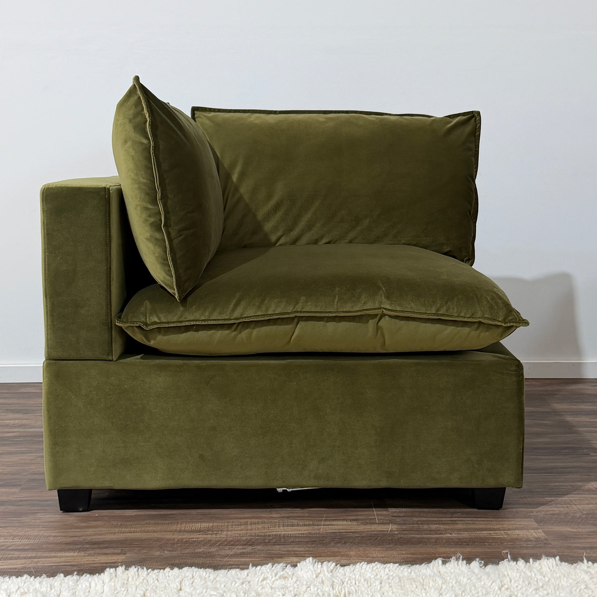 Color:SAGE GREEN PERFORMANCE VELVET