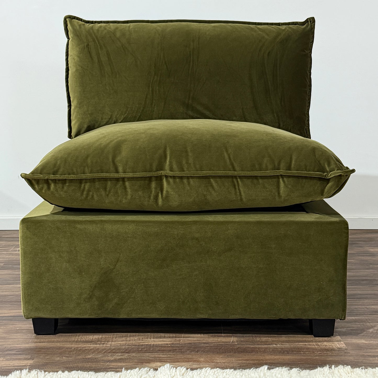 Color:SAGE GREEN PERFORMANCE VELVET