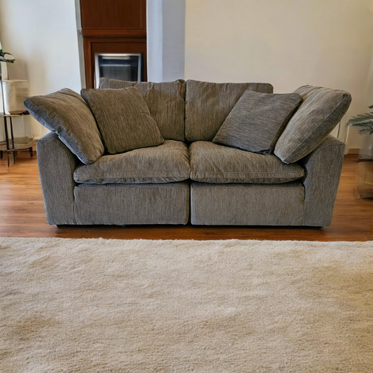 Brand New Loveseat Couch Joybird Love Seat- Free Deliver